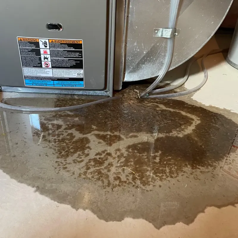 Appliance Leak Cleanup in Northwest Harwich, MA